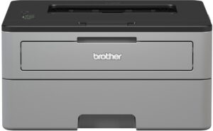 Brother HL-L2312D