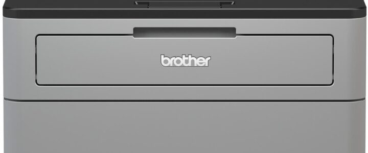 Brother HL-L2312D
